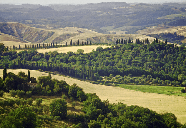 Gambassi Terme - Via Francigena
