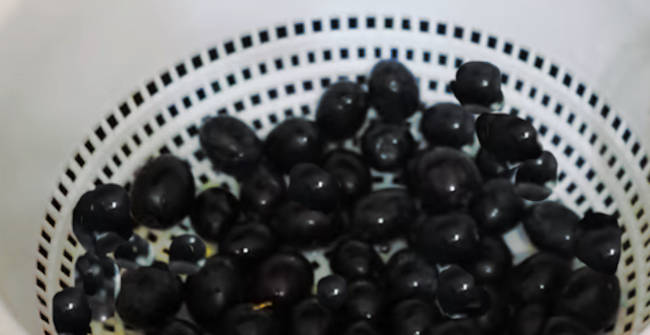 Scolatura delle olive