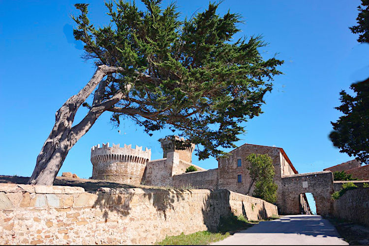 Populonia