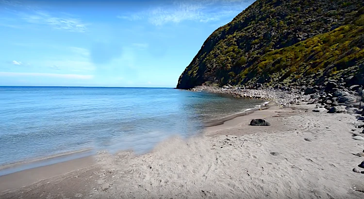 Cala della Mortola - Capraia