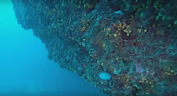 Grotta del Grongo - Immersioni Costa degli Etruschi