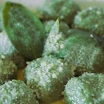 Gnudi Toscani