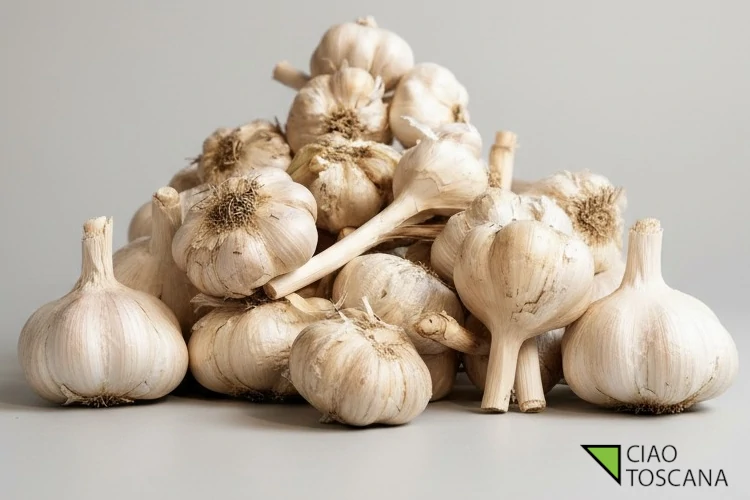 Aglione della Val di Chiana Aglione della Val di Chiana