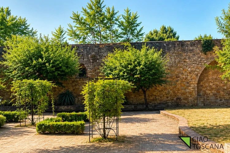 Scorcio ombreggiato tra i percorsi rinascimentali degli Horti Leonini in Val d'Orcia Scorcio ombreggiato tra i percorsi rinascimentali degli Horti Leonini in Val d'Orcia