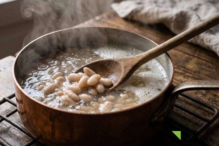 Fagioli cannellini in ebollizione in una pentola, con il vapore della cottura Fagioli cannellini in ebollizione in una pentola, con il vapore della cottura